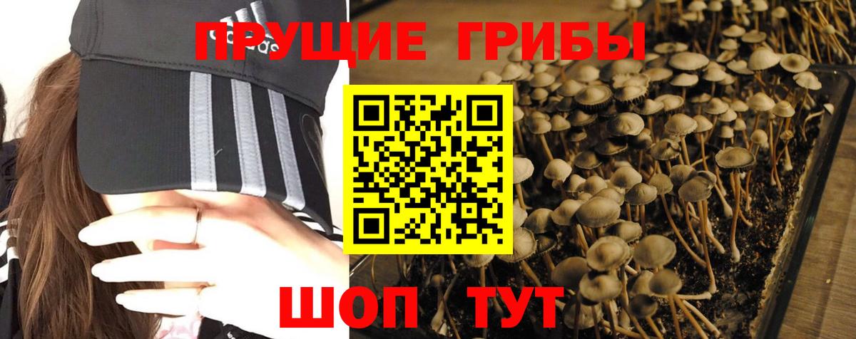 Галлюциногенные грибы мицелий Берёзовский